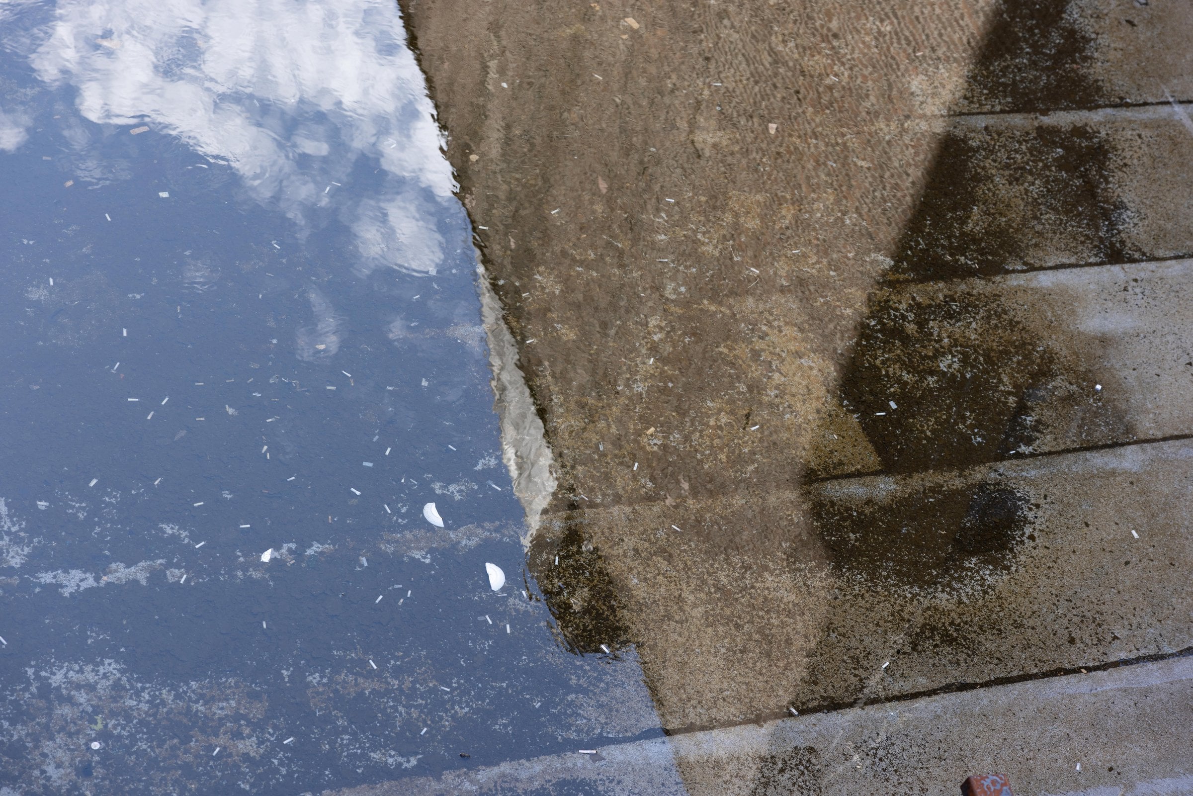 Clouds and a building reflected in water scattered with debris