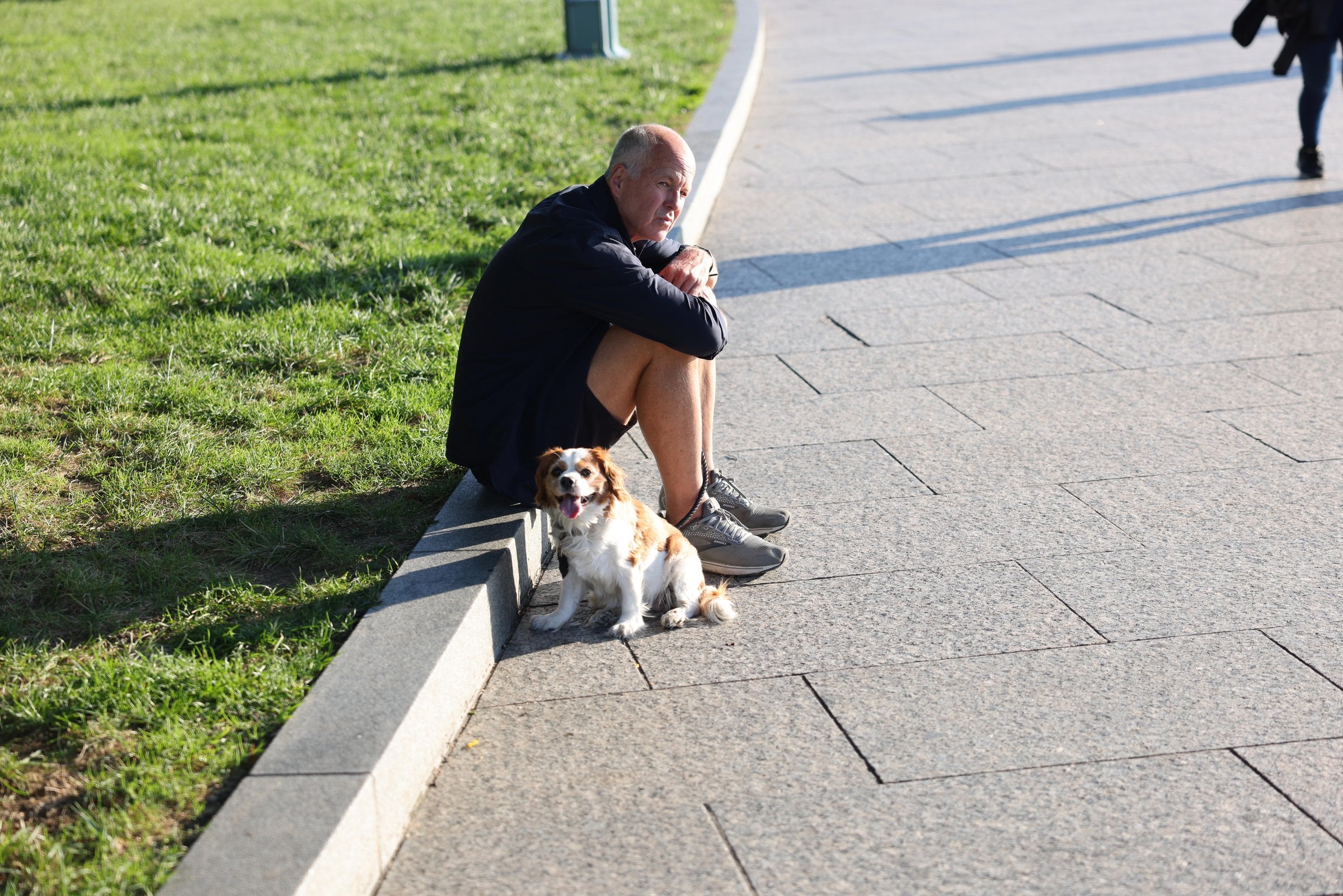 Person sitting beside a small dog on a sunlit path