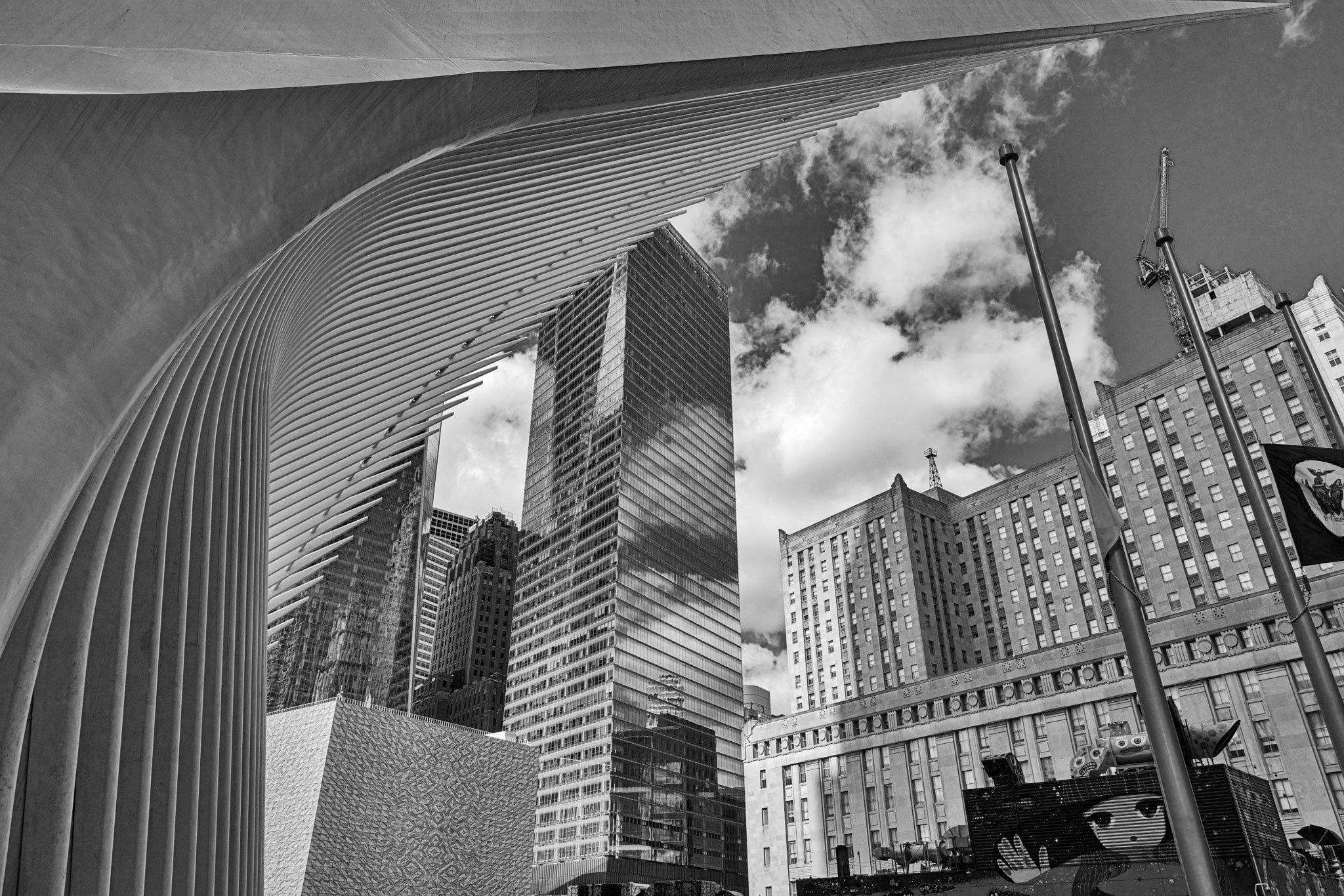 Ribbed canopy framing towers and clouds in black and white
